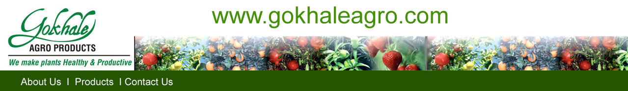 Gokhale agro banner image